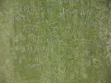 image of grave number 960923